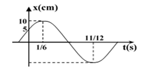 Tại thời điểm t = 1/6s thì li độ của vật bằng: A. 0 cm.	 B. 5 cm.	 C. 10 cm.	 D. -5 cm. (ảnh 1)
