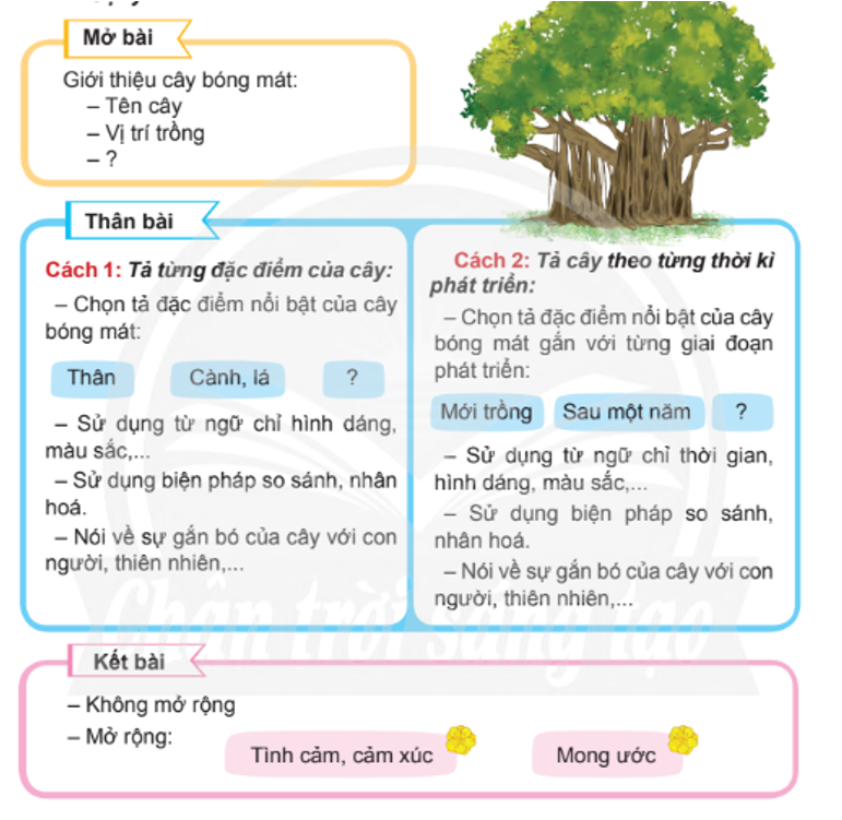 Viết bài văn tả một cây bóng mát được trồng ở trường hoặc nơi em ở (ảnh 1)