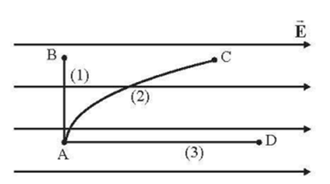 Cho một hạt mang điện dương chuyển động từ điểm A đến điểm B, C, D theo các quỹ đạo khác nhau trong điện trường đều như hình vẽ. Gọi A1, A2, A3 lần lượt là công do điện trường sinh ra khi hạt chuyển động trên các quỹ đạo (1), (2), (3). Nhận xét nào sau đây đúng? (ảnh 1)