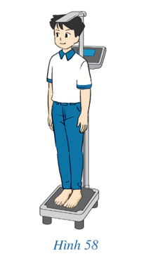 Hình 58 mô tả cách đo chiều cao của một người khi kiểm tra sức khỏe. Coi mặt bản sắt người đó đứng lên là mặt phẳng (P) (ảnh 1)
