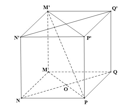 Cho hình lập phương MNPQ.M’N’P’Q’ có cạnh bằng a.  a) Góc giữa hai đường thẳng MN và M’P’ bằng: (ảnh 1)