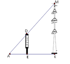 Bóng (AK) của một cột điện (MK) trên mặt đất dài 6 m. Cùng lúc đó một cột đèn giao thông (DE) cao 3 m có bóng (AE) dài 2 m. Chiều cao của cột điện (MK) là   A. 8 m; B. 9 m; C. 1 m; D. 4 m. (ảnh 1)
