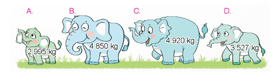 Chọn câu trả lời đúng. a) Con voi nào dưới đây nặng nhất? (ảnh 1)