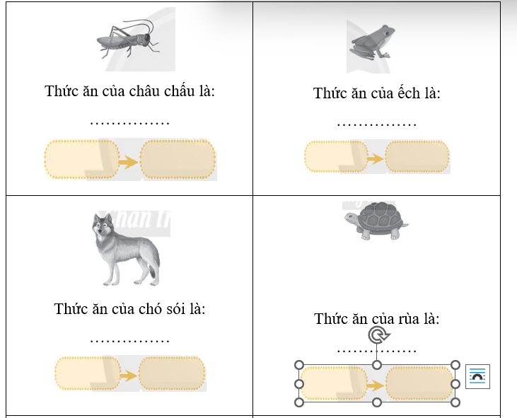 Hãy viết tên thức ăn của các động vật sau và hoàn thành sơ đồ mối liên hệ thức ăn dưới mỗi hình. (ảnh 1)