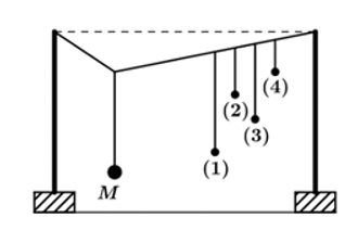 Thực hiện thí nghiệm về dao động cưỡng bức như hình bên. Năm con lắc đơn: (1), (2), (3), (4) và M (con lắc điều khiển) được treo trên một sợi dây. Ban đầu hệ đang đứng yên ở vị trí cân bằng. Kích thích M dao động nhỏ trong mặt phẳng vuông góc với mặt phẳng hình vẽ thì các con lắc còn lại dao động theo. Không kể M, con lắc dao động mạnh nhất là   A. con lắc (1) B. con lắc (2) C. con lắc (3) D. con lắc (4) (ảnh 1)