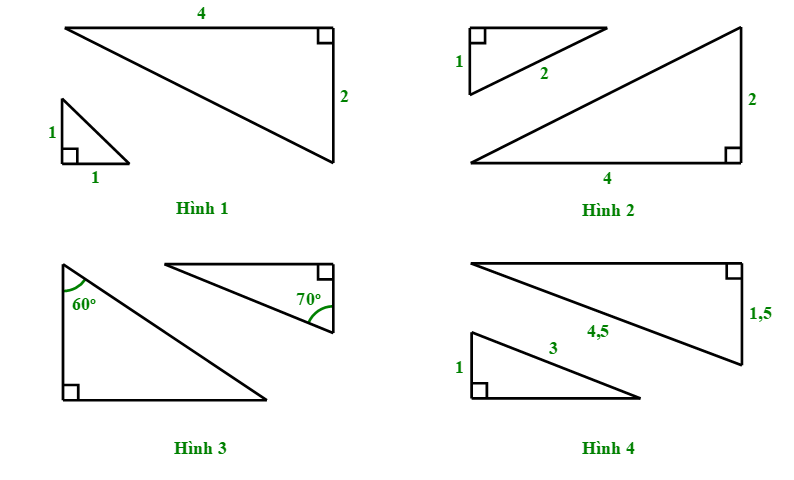 Cho hình vẽ:   Có bao nhiêu cặp tam giác vuông đồng dạng trong hình vẽ trên? A. 1 cặp;  B. 2 cặp;   C. 3 cặp; D. 4 cặp. (ảnh 1)