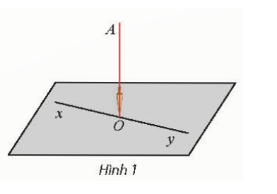 Thả một dây dọi AO chạm sàn nhà tại điểm O. Kẻ một đường thẳng xOy bất kì trên sàn nhà. (ảnh 1)