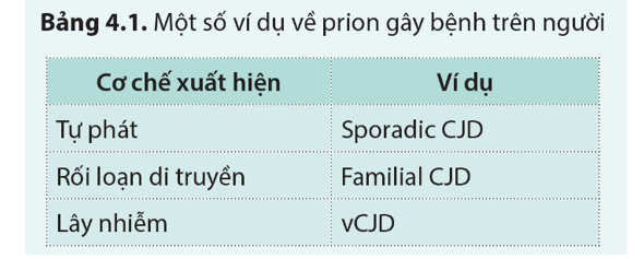 Trong các bệnh do prion gây ra được trình bày ở bảng 4.1, loại bệnh nào sẽ chịu tác động  (ảnh 1)
