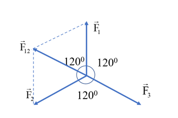 Cho ba lực đồng qui cùng nằm trên một mặt phẳng, có độ lớn F1 = F2 = F3 = 30 N và từng đôi một hợp với nhau thành góc 120°. Hợp lực của chúng có độ lớn là bao nhiêu?   A. 30 N. B. 0 N. C. 60 N. D. 90 N. (ảnh 2)