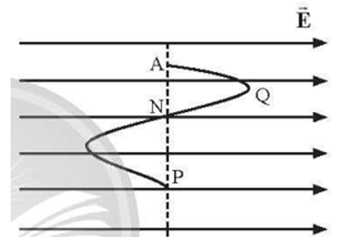 Một điện tích q chuyển động từ điểm A đến P theo lộ trình như hình vẽ (A → Q → N → P) trong điện trường đều. Đáp án nào sau đây là đúng khi nói về mối quan hệ giữa công của lực điện trường làm dịch chuyển điện tích trên từng đoạn đường? (ảnh 1)