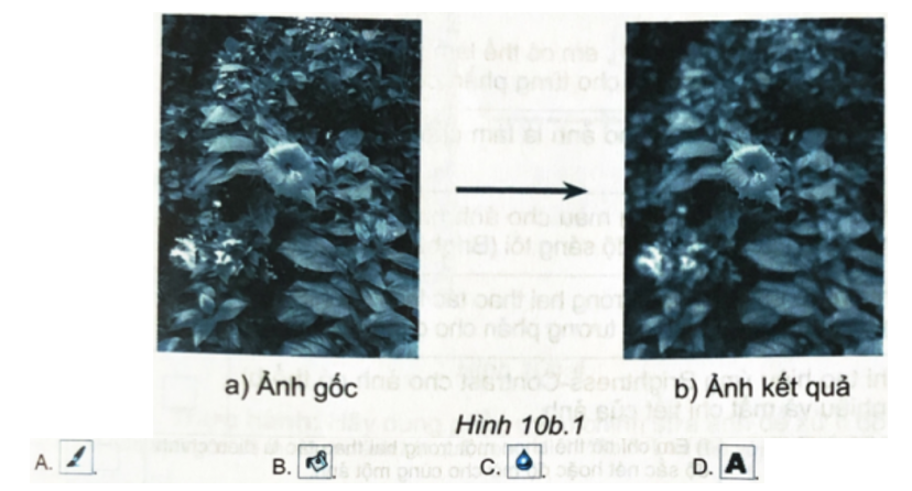 Quan sát Hình 10b.1 và cho biết ảnh kết quả thu được sau khi sử dụng công cụ nào để xử lí? (ảnh 1)