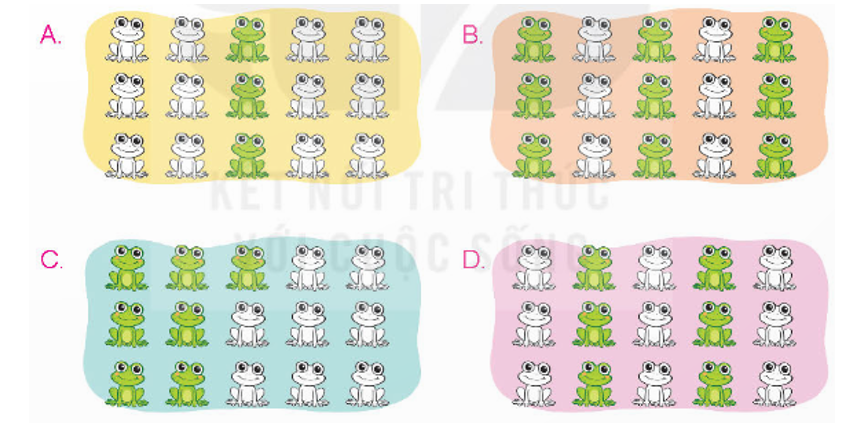b) Đã tô màu 3/5 con ếch trong hình nào dưới đây? (ảnh 1)