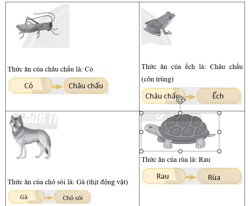 Hãy viết tên thức ăn của các động vật sau và hoàn thành sơ đồ mối liên hệ thức ăn dưới mỗi hình. (ảnh 2)
