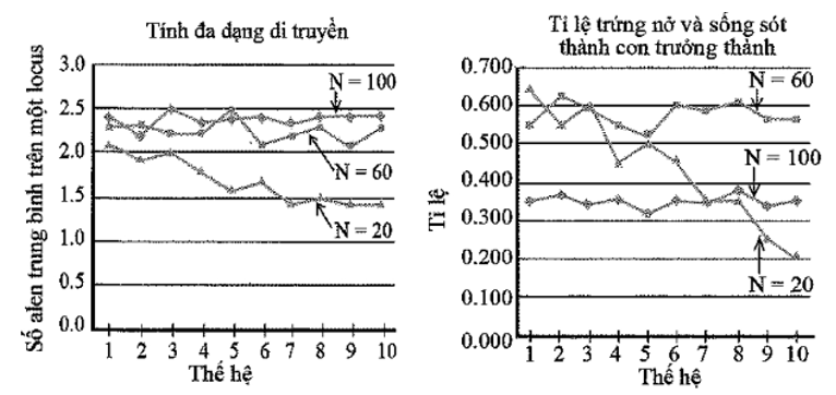 Nhận định nào sau đây là đúng nhất khi nói về sự thay đổi tính đa dạng di truyền ở các quần thể qua thời gian? (ảnh 1)