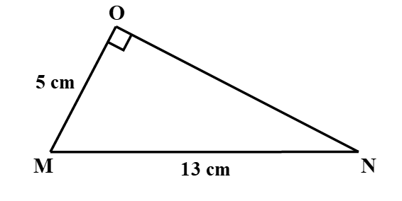 Cho hình vẽ:   Diện tích tam giác OMN là:  A. 30 cm; B. 60 cm; C. 30 cm2; D. 60 cm2. (ảnh 1)