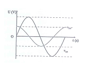 Đặt điện áp u = U0 cos( wt +u)v  vào hai đầu đoạn mạch AB như hinh vẽ. Đồ thị biểu diễn sự phụ thuộc của  (ảnh 1)