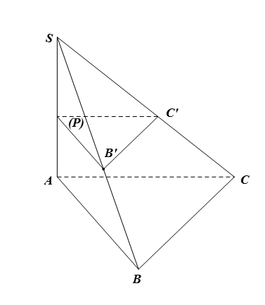 Cho hình chóp S.ABC có SA ⊥ (ABC). Mặt phẳng (P) khác với mặt phẳng (ABC), vuông góc với đường thẳng SA và lần lượt cắt các (ảnh 1)