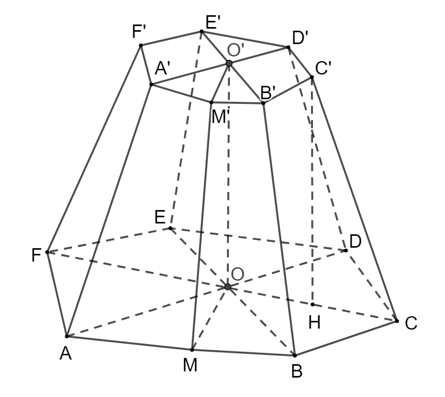 Cho hình chóp cụt lục giác đều  ABCDEF.A′B′C′D′E′F′ với O và O′ là tâm hai đáy, cạnh đáy lớn (ảnh 1)