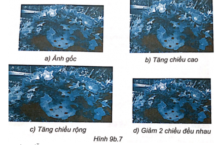 Thực hành: Sử dụng phần mềm chỉnh sửa ảnh để thay đổi kích thước ảnh gốc  (ảnh 1)