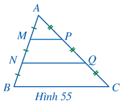 Cho tam giác ABC (Hình 55), các điểm M, N thuộc cạnh AB thoả mãn AM = MN = NB, các điểm P, Q thuộc cạnh AC thoả mãn AP = PQ = QC. Tam giác AMP đồng dạng với những tam giác nào? (ảnh 1)