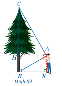 Cho Hình 89, bạn Minh dùng một dụng cụ để đo chiều cao của cây. Cho biết khoảng cách từ mắt bạn Minh đến cây và đến mặt đất lần lượt là AH = 2,8 m và AK = 1,6 m. Em hãy tính chiều cao của cây.    (ảnh 1)
