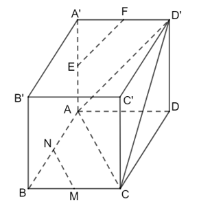 Cho hình hộp ABCD.A′B′C′D′ có 6 mặt đều là hình vuông M, N, E, F lần lượt là trung điểm (ảnh 1)