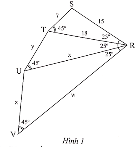 Cho Hình 1. Tính x, y, z, w (ảnh 1)