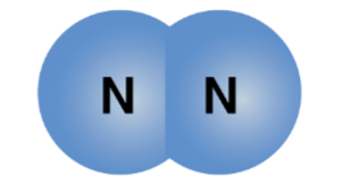 Cho mô hình phân tử nitrogen như sau:   Khối lượng phân tử nitrogen là A. 14 amu.			 B. 7 amu.		 C. 28 amu. D. 21 amu. (ảnh 1)