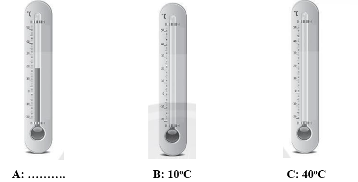 Quan sát mức chất lỏng trên nhiệt kế ở hình A và viết số chỉ nhiệt độ của nhiệt kế vào chỗ (...) dưới hình. Dùng bút đỏ đánh dấu mức chất lỏng trong nhiệt kế ở hình B và C sao cho tương ứng với số ghi nhiệt độ dưới mỗi hình. (ảnh 1)