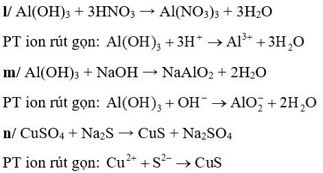 Phương trình phân tử và ion rút gọn của các phản ứng sau (Nếu có) xảy ra trong dung dịch:  a, KNO3 + NaCl  b, NaOH + HNO3  c, Mg(OH)2 +HCl  d, NaF + AgNO3  e, Fe2(SO4)3 + KOH  g, FeS + HCl  h, NaHCO3 + HCl  i, NaHCO3 + NaOH  k, K2CO3 + NaCl  l, Al(OH)3 + HNO3  m, Al(OH)3 + NaOH  n, CuSO4 + Na2S (ảnh 2)