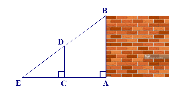 Một nhóm các bạn học sinh lớp 8 đã thực hành đo chiều cao AB của một bức tường như sau: Dùng một cái cọc (ảnh 1)