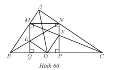 Cho tam giác ABC vuông tại A, có đường phân giác AD. Vẽ hình vuông MNPQ ở đó M thuộc cạnh AB, N thuộc cạnh AC, P và Q thuộc cạnh BC. Gọi E và F lần lượt là giao điểm của BN và MQ, CM và NP (Hình 60). Chứng minh: a) DE song song với AC; b) DE = DF. (ảnh 1)