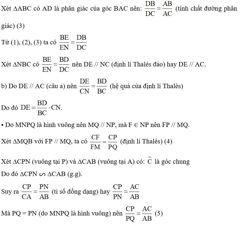 Cho tam giác ABC vuông tại A, có đường phân giác AD. Vẽ hình vuông MNPQ ở đó M thuộc cạnh AB, N thuộc cạnh AC, P và Q thuộc cạnh BC. Gọi E và F lần lượt là giao điểm của BN và MQ, CM và NP (Hình 60). Chứng minh: a) DE song song với AC; b) DE = DF. (ảnh 3)