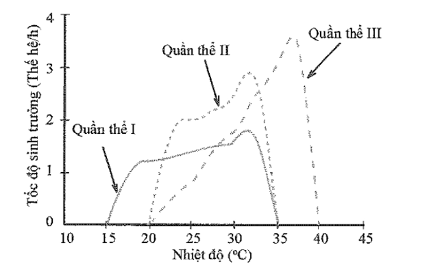 Quần thể nào có sự thích nghi tốt nhất ở nhiệt độ 25°C? (ảnh 1)