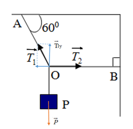 Một vật có trọng lượng P đứng cân bằng nhờ 2 dây OA làm với trần một góc 600 và OB nằm ngang. Độ lớn của lực căng T1 của dây OA bằng   (ảnh 2)