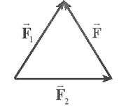 Hình vẽ nào sau đây biểu diễn đúng lực tổng hợp của hai lực F1,F2 ? (ảnh 1)