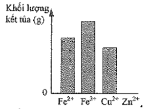 Có bốn dung dịch riêng biệt, mỗi dung dịch chứa 1 gam của một loại ion trong bốn ion (ảnh 3)