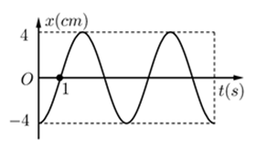 Một vật dao động điều hòa trên trục Ox. Hình bên là đồ thị biểu diễn sự phụ thuộc của li độ x vào thời gian t. Phương trình gia tốc của vật là   (ảnh 1)