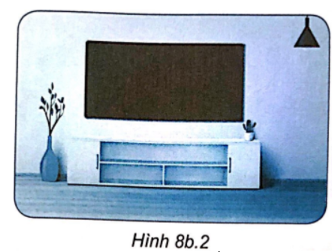 Em hãy quan sát Hình 8b.2 và chọn phương án trả lời đúng cho câu hỏi: Trong bức ảnh có những đối tượng nào? (ảnh 1)