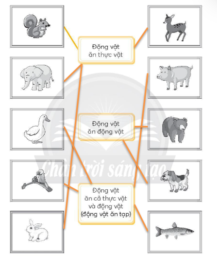 Nối hình mỗi con vật với ô chữ phù hợp (theo mẫu). (ảnh 2)