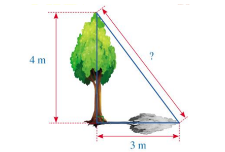 Hình dưới đây mô tả một cây cao 4 m. Biết rằng khi trời nắng, cây đổ bóng trên mặt đất, điểm xa nhất của bóng cây cách gốc cây một khoảng là 3 m. (ảnh 1)