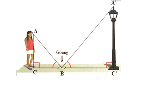 Để đo chiều cao của cột đèn ta làm như sau: Đặt tấm gương phẳng nằm trên mặt phẳng nằm ngang, mắt (ảnh 1)