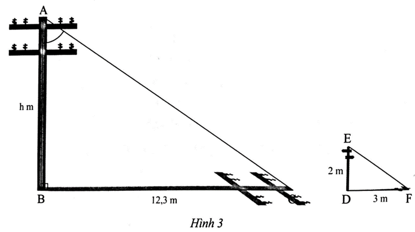 Tính chiều cao cột điện AB trong Hình 3  (ảnh 1)