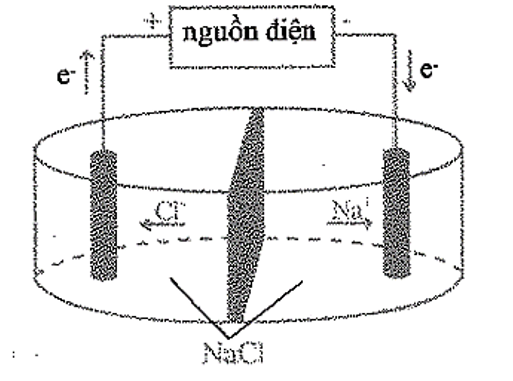 Một sinh viên thực hiện quá trình điện phân hoàn toàn 2,22 gam muối clorua kim loại ở trạng (ảnh 1)