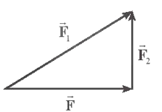 Hình vẽ nào sau đây biểu diễn đúng lực tổng hợp của hai lực F1,F2 ? (ảnh 2)