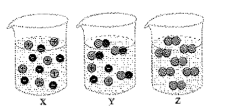 Hình vẽ bên đây mô tả sự hiện diện của các vi hạt trong dung dịch (dung môi là nước) ở (ảnh 1)