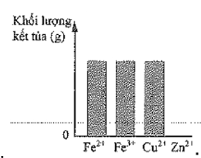 Có bốn dung dịch riêng biệt, mỗi dung dịch chứa 1 gam của một loại ion trong bốn ion (ảnh 4)
