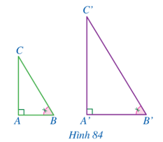Cho hai tam giác ABC và A’B’C’ có góc A= góc A'= 90 độ , góc B = góc B'    (Hình 84). Chứng minh ∆A’B’C’ ᔕ ∆ABC.   (ảnh 1)