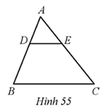 Cho tam giác ABC có DE // BC (Hình 55).   Khẳng định nào dưới đây đúng? (ảnh 1)
