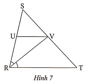 Trong Hình 7, cho biết RV là tia phân giác của chứng minh tam giác SUV đồng dạng (ảnh 1)